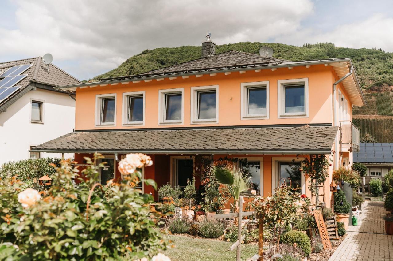 Wein- Und Gaestehaus Schwaab&Sohn Erden Dış mekan fotoğraf