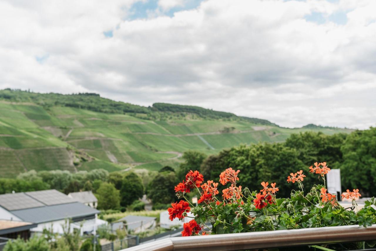 Wein- Und Gaestehaus Schwaab&Sohn Erden Dış mekan fotoğraf