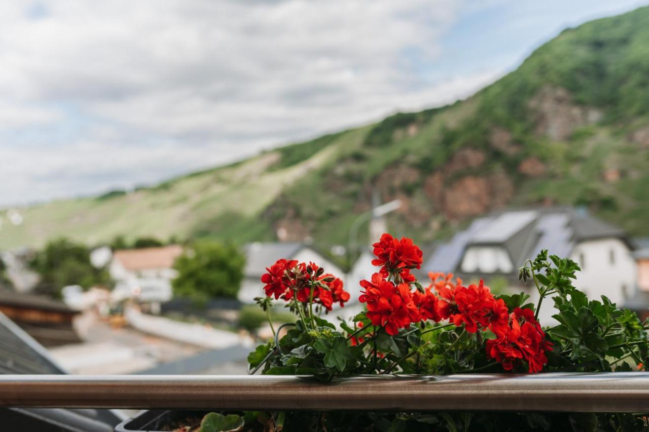 Wein- Und Gaestehaus Schwaab&Sohn Erden Dış mekan fotoğraf